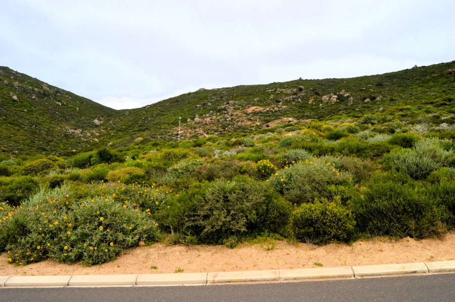 0 Bedroom Property for Sale in St Helena Views Western Cape
